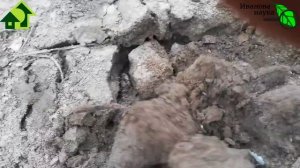 ПОЧВА НЕ ПУШИСТАЯ, А ПЛОДОРОДНАЯ! Как вернуть плодородие любой почве? Восстанавливаем и улучшаем!