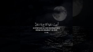 Ahmed Khedr | Сура Аль-Бакара, аят 186 | Красивое чтение Корана