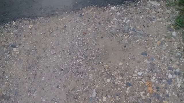 Что происходит перед выборами губернатора на самом деле. смотреть онлайн