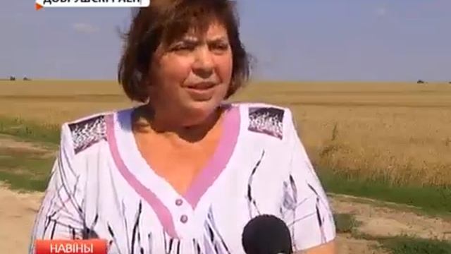 Уборочная в Добрушском районе смотреть онлайн
