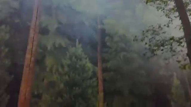 Забор чудовищных размеров. Что это ? смотреть онлайн