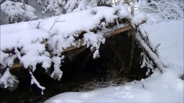 Lost Hunter Survival shelter after a winter storm, update смотреть онлайн