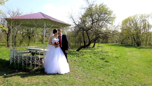 Дмитрий & Татьяна Свадьба в Губкине смотреть онлайн