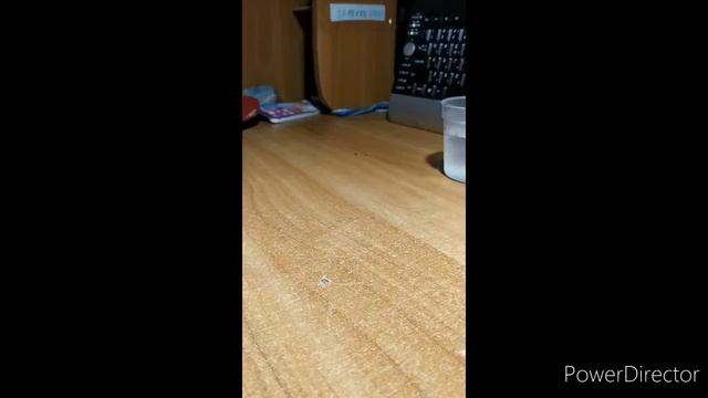 КЛАССНЫЕ ТРИКШОТЫ С МЯЧИКОМ ДЛЯ ПИНГ ПОНГА! смотреть онлайн