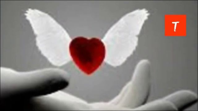 Что такое программа самоисцеления. Ченнелинг смотреть онлайн