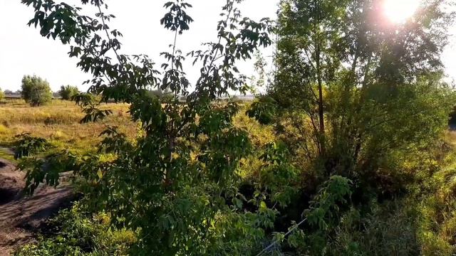 видео экскурсия по посёлку смотреть онлайн