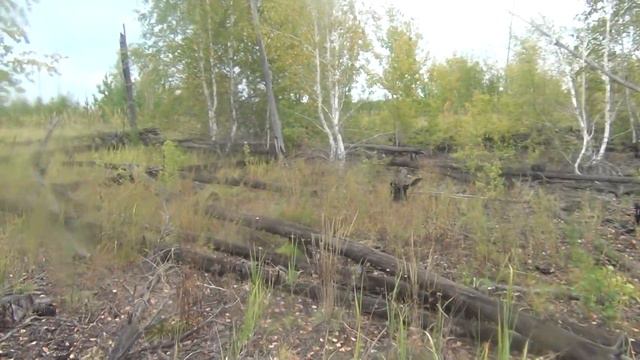 Заброшенные гектары всемирного фонда защиты природы 16 09 2013 смотреть онлайн