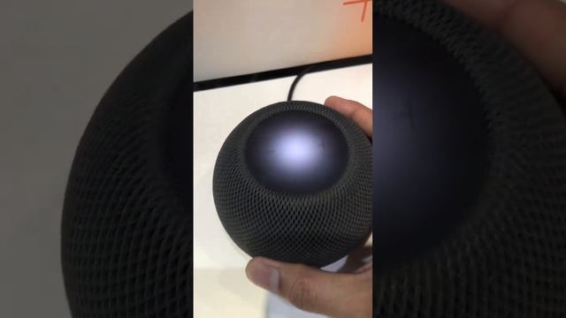 Apple Home Pad Mini смотреть онлайн
