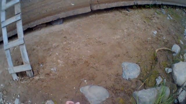 А зря Вы Летом не ловите Плотву на Удочку на Такую Насадку, а Могли бы Поймать Много смотреть онлайн