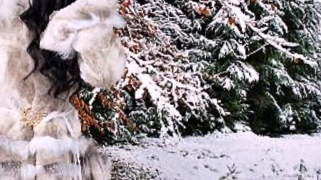 песня---Белым снегом... смотреть онлайн