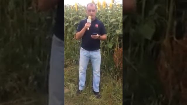Пісня " Ой чого ти мамо посевіла рано" смотреть онлайн