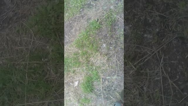что делать если залило свечу на бензопиле партнёр часть вторая смотреть онлайн