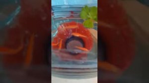 Размножение данио рерио. Нерест данио. Икрометание данио.