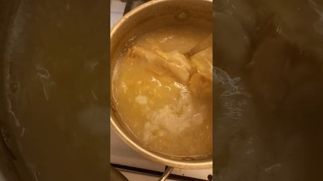 Питание щенка лабрадора#лабрадор#лабрадорретривер#питание#корм#Леди#щенок#собака смотреть онлайн