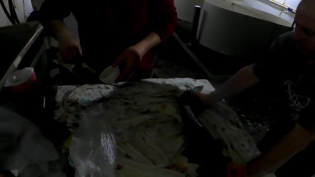 Инъекция (Сурфагон + раунатин) Клариевого Сома 10 03.21 смотреть онлайн