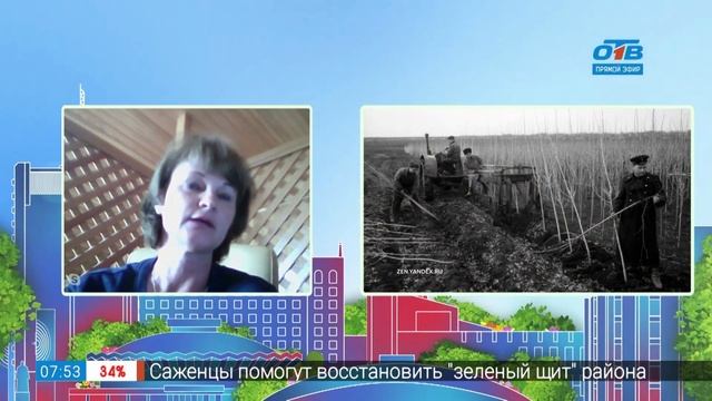 Гость на связи – нужны ли в городе тополя? смотреть онлайн