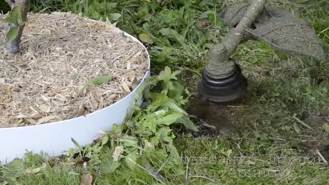 Приствольный круг из металла окашиваем триммером смотреть онлайн
