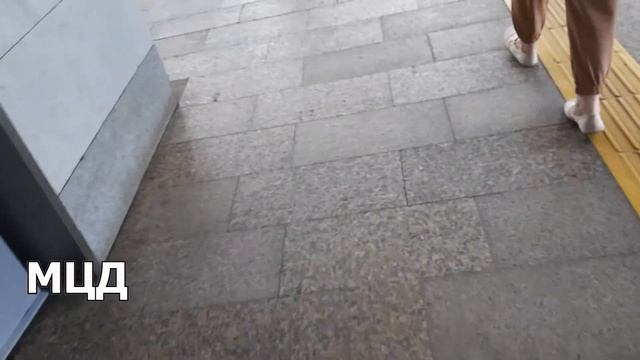 ВЛОГ. ПОЕЗДКА НА РЕЧНОЙ ВОКЗАЛ. ТЦ Метрополис. Первый раз прокатились по МЦД. Ласточка.