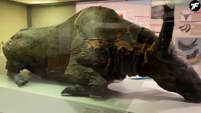 Топ 15 находок во льдах !!! смотреть онлайн