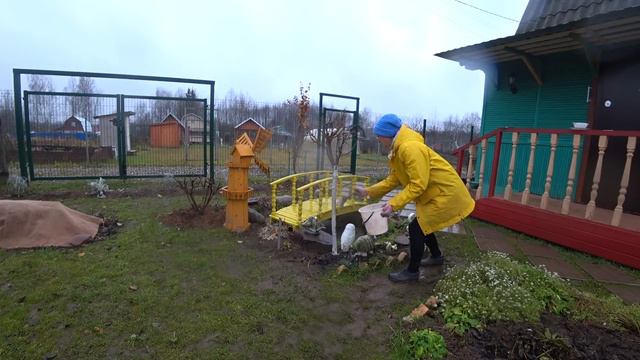 6 соток 11 ноября 2022 год  Хроника Vegetable Garden In Autumn