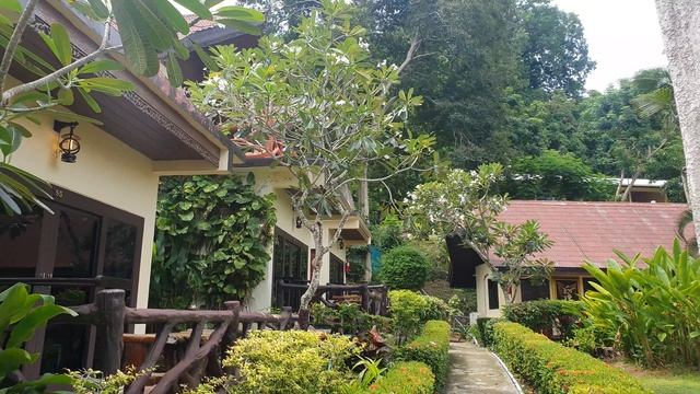 Пхи пхи прогулка по PARADISE PEARL BUNGALOWS на побережье Лонг-Бич 2 часть смотреть онлайн