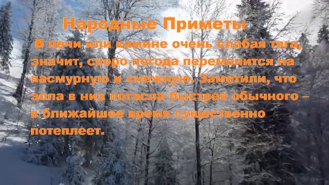 11 Декабря Сойкин День. Народные приметы. смотреть онлайн