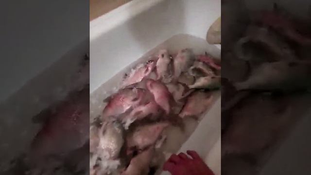 После рыбалки смотреть онлайн