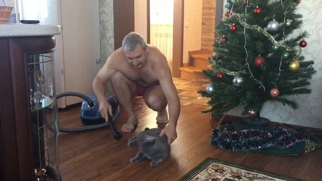 Пылесосим кота правильно)) смотреть онлайн