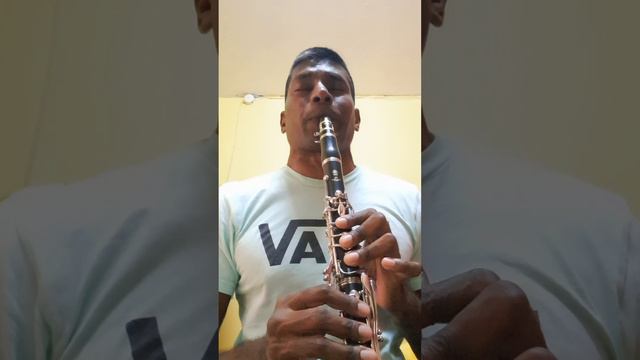 Ed Sheeran Perfect Clarinet cover смотреть онлайн