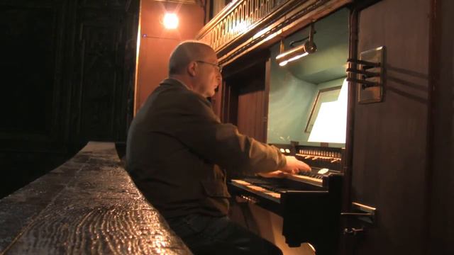 Meine Seele Erhebt Den Herren Bwv 648 - J.S.Bach  (Aldo Locatelli)