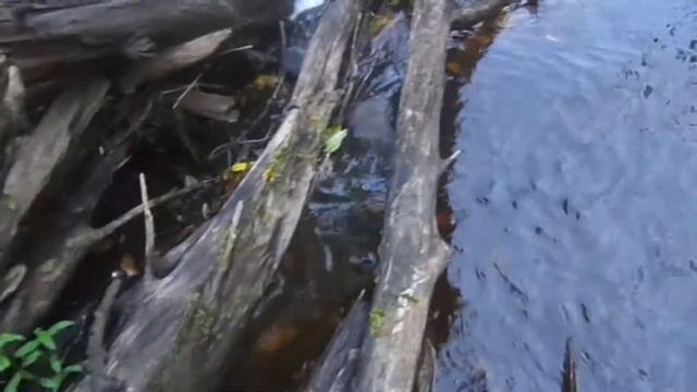 Нашел свой сапог в реке)))) смотреть онлайн