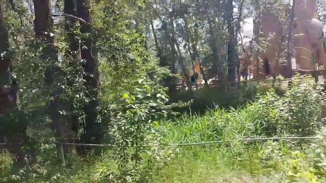 Walking Tour of the Amazing Calgary Zoo | Canada's Most Visited Zoo смотреть онлайн