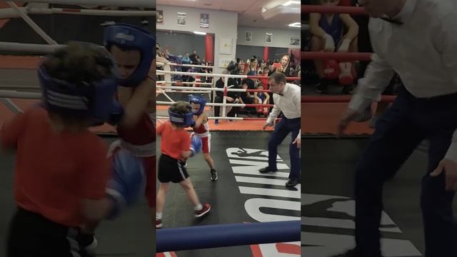 Бой Александр Котельников. Боксеры 6 лет смотреть онлайн