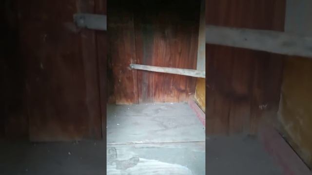 Голубятня на балконе.