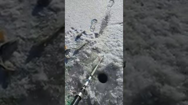 Зимняя рыбалка в Селитренном 