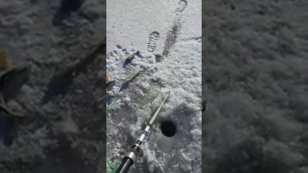 Зимняя рыбалка в Селитренном "Baza-Fishka".