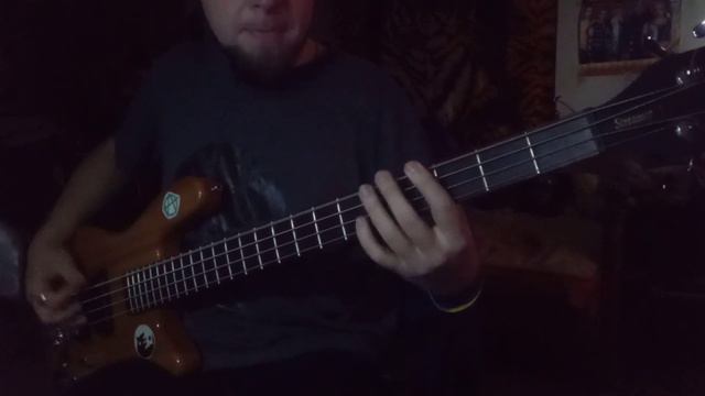 Rammstein - Zick Zack (Bass guitar cover Miroslav) смотреть онлайн