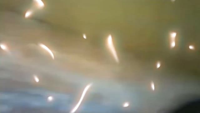 УРА, 16 мегабайт умнее, чем компьютер!!! смотреть онлайн