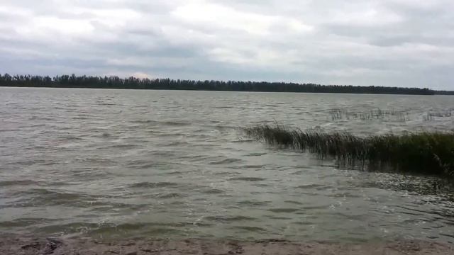 Озеро Большой Тараскуль возле Тюмени смотреть онлайн