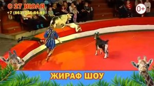 Жираф Шоу. Краснодарский цирк