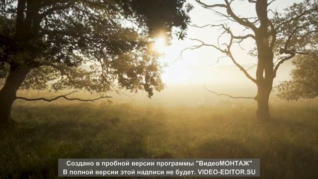 спокойная музыка часть1 (relaxing music) смотреть онлайн