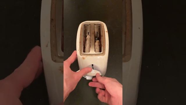 Можно ли пожарить мясо в тостере? :3 #shorts смотреть онлайн