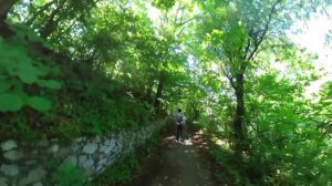 Владикавказ, парки: " Дендрарий" , " Терренкур ", "Нартон". 25 июня 2023.