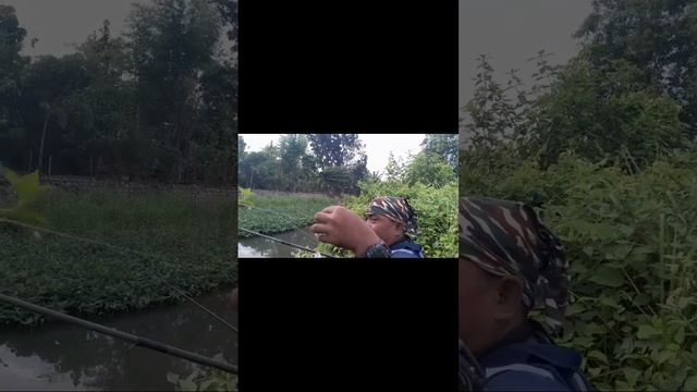 awas jadi gila kayak master lumut смотреть онлайн