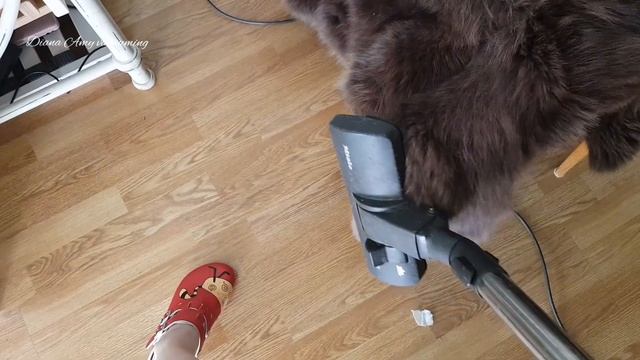 ASMR Relaxed Vacuuming With Miele Vacuumer Cleaner