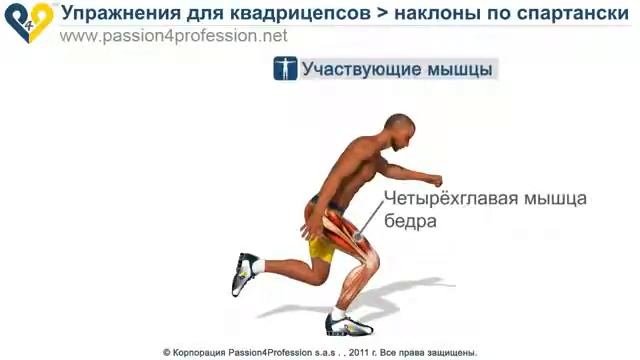 Базовые упражнения приседания по спартански смотреть онлайн