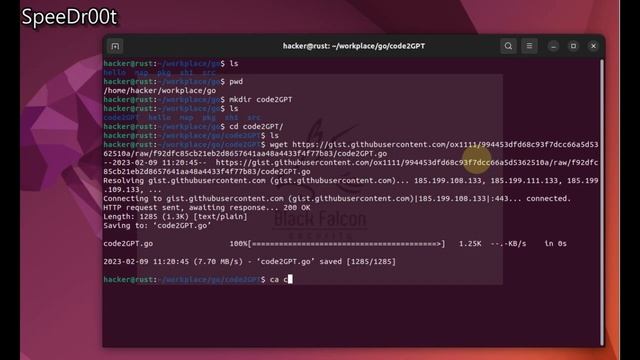 [golang] code to gpt смотреть онлайн