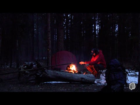 Bigfoot Expedition | Video Diary #4 | Alone in the Wilderness смотреть онлайн