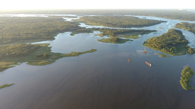 Завидово река Шоша 20220628 смотреть онлайн