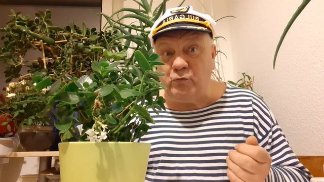 Шаман одобрил новое написание ЕГЭ отдыхает смотреть онлайн